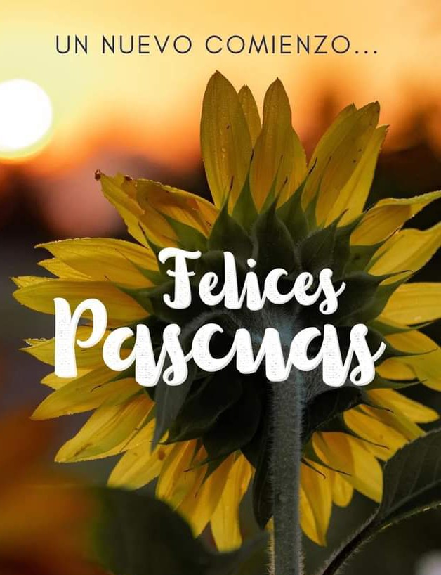 felices pascuas un nuevo comienzo