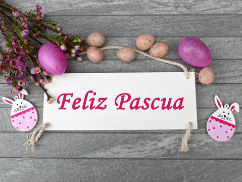 huevos y conejos feliz pascua