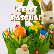 conejo y huevos feliz pascua